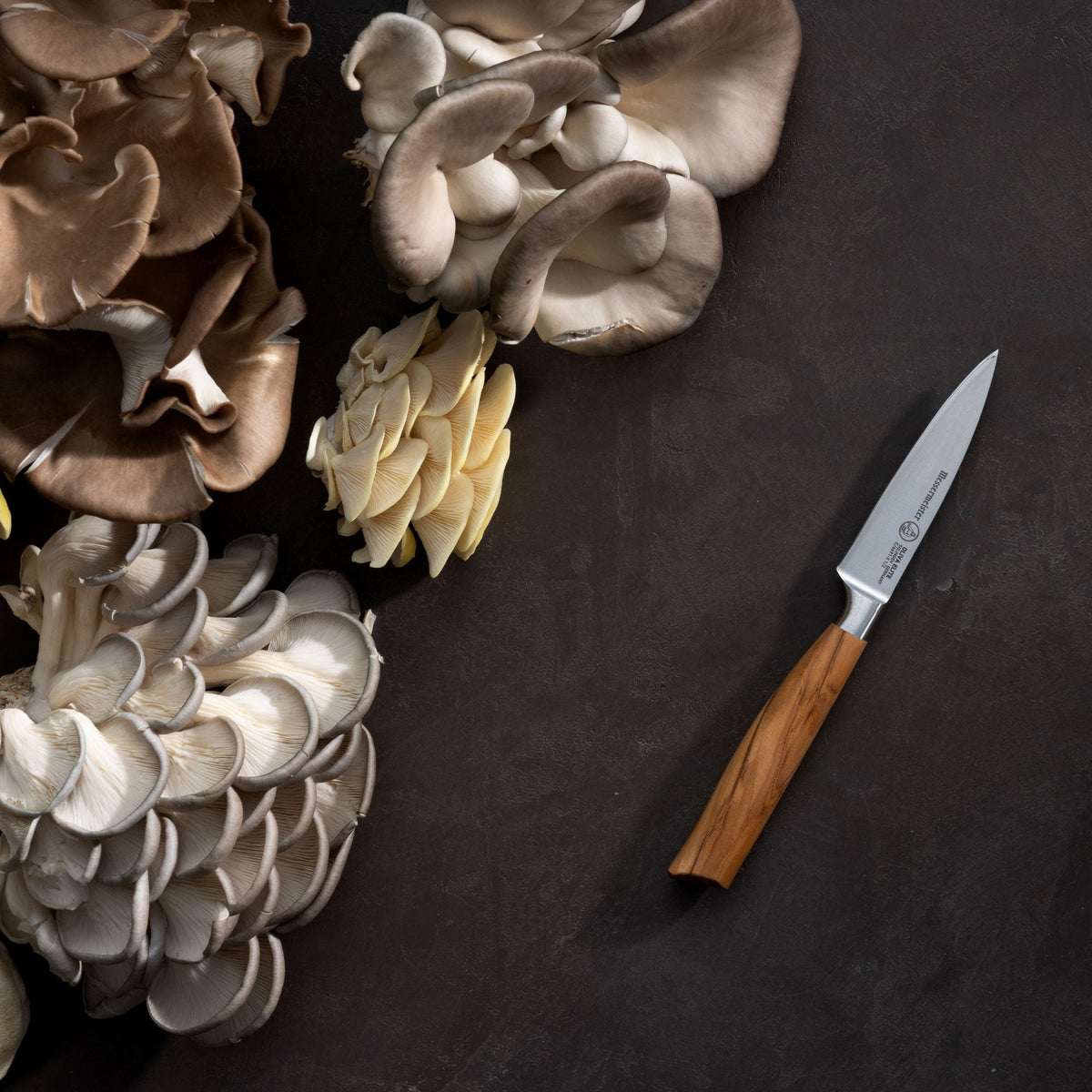 Oliva Elite Spear Point Paring Knife - 3.5"